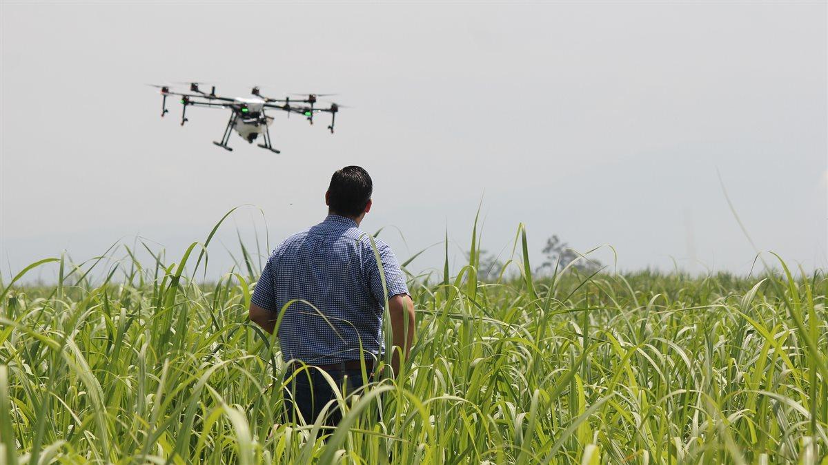 man flying a drone in tall grass