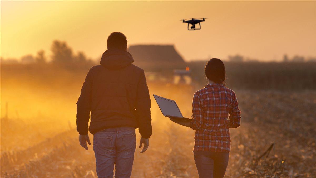 man and woman flying a drone at sunset through a corn field