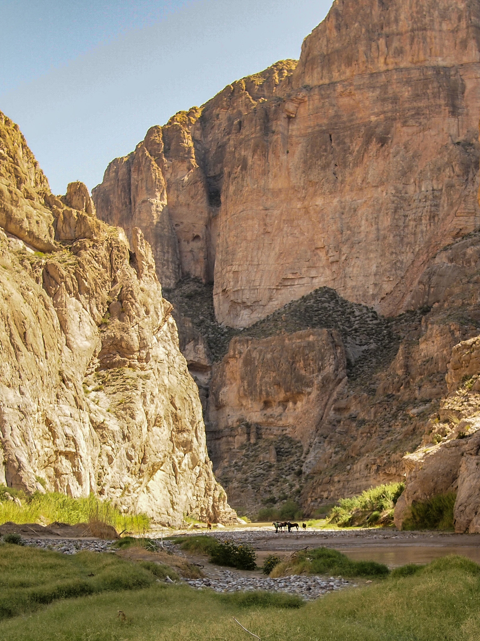 Horses on the riverbank show the scale of Boquillas Canyon in Big Bend National Park, Texas. Photo by Michael Janke via Flickr.