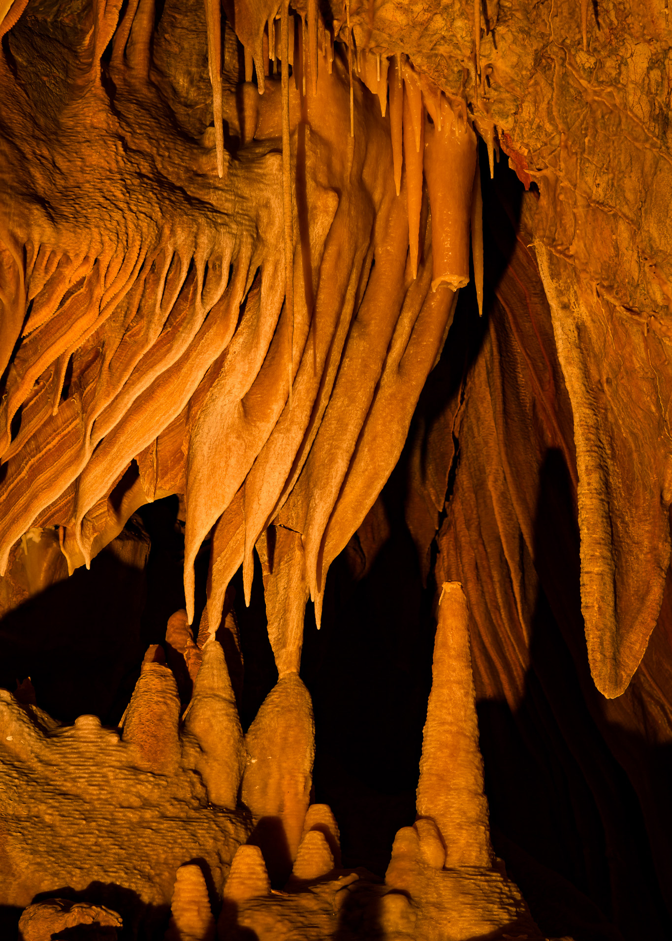 A few “soda straws” hang above stalagmites in Kartchner Caverns. The formations on the left are often referred to as “bacon” due to their appearance. Photo by Robert Shea.