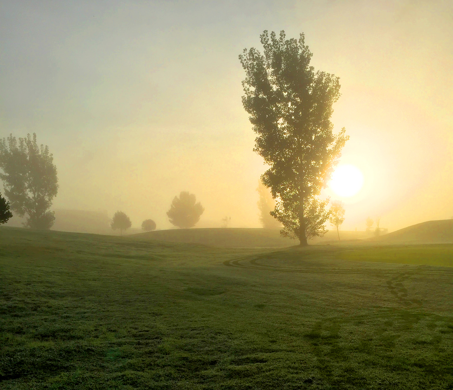 Early morning dew and mist greet the sunrise at the Lake Carlsbad Golf Course. Photo by Matt Castro.