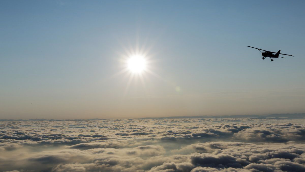 Photo by Mike Fizer.