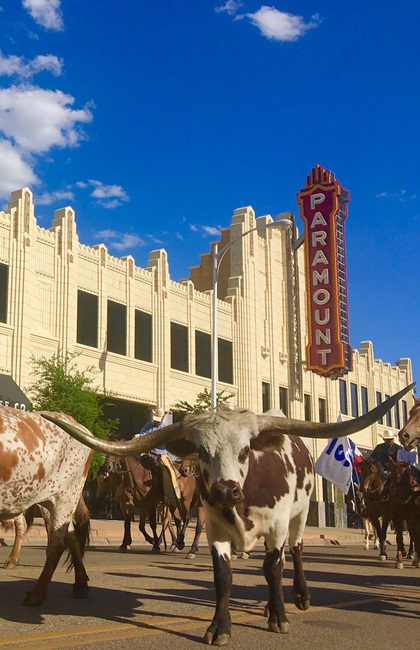 Amarillo annual cattle drive down Polk Street. Photo by MeLinda Schnyder.