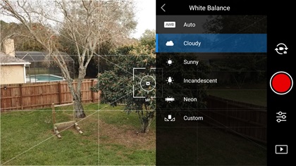 While automatic white balancing is fine for practice and some other situations, using a setting specific to the lighting conditions will usually produce a better result. Screen shot by Terry Jarrell. 