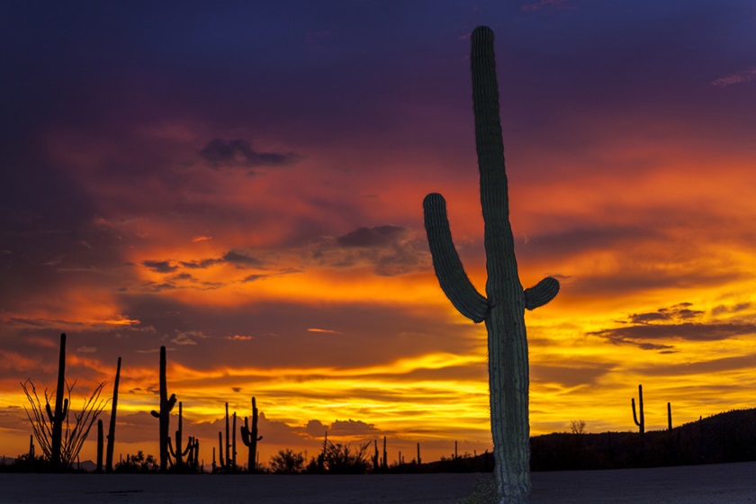 Don’t miss the stunning desert sunsets while visiting Tucson. Photo by Pete Gregoire. 