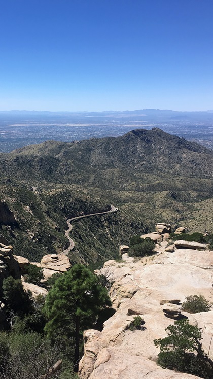 The 27-mile paved Catalina Highway Scenic Drive from northeast Tucson to the 9,157-foot peak of Mount Lemmon has been called the “biological equivalent” of driving from the deserts of Mexico to Canada’s fir forests. Photo by MeLinda Schnyder. 