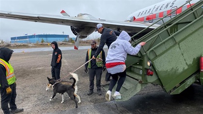 Thomas Waerner, holding leash, had plenty of willing volunteers to help walk the 24 sled dogs during a brief stop in Yellowknife, Northwest Territories. Photo courtesy of Patrick Jacobson. 