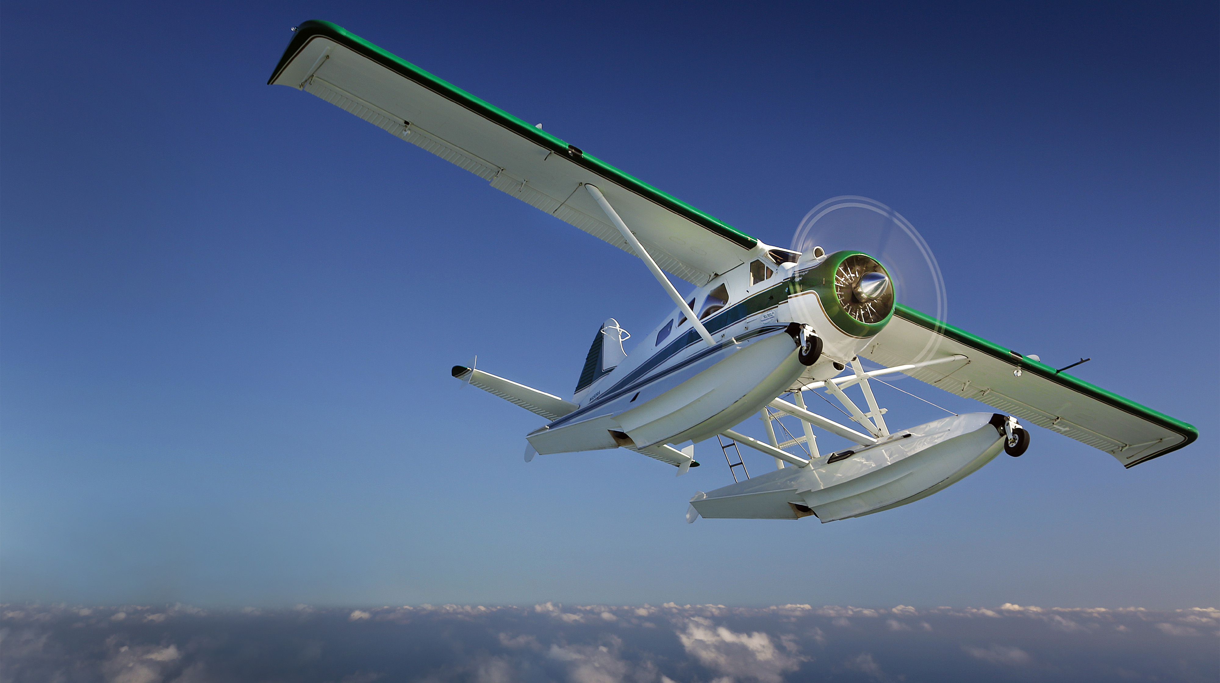 Photo by Chris Rose.