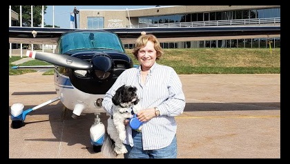 Dog and plane