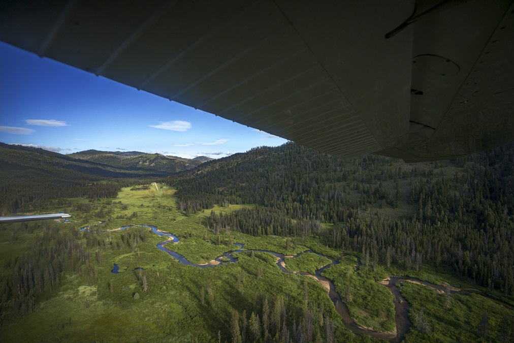 Idaho backcountry flying