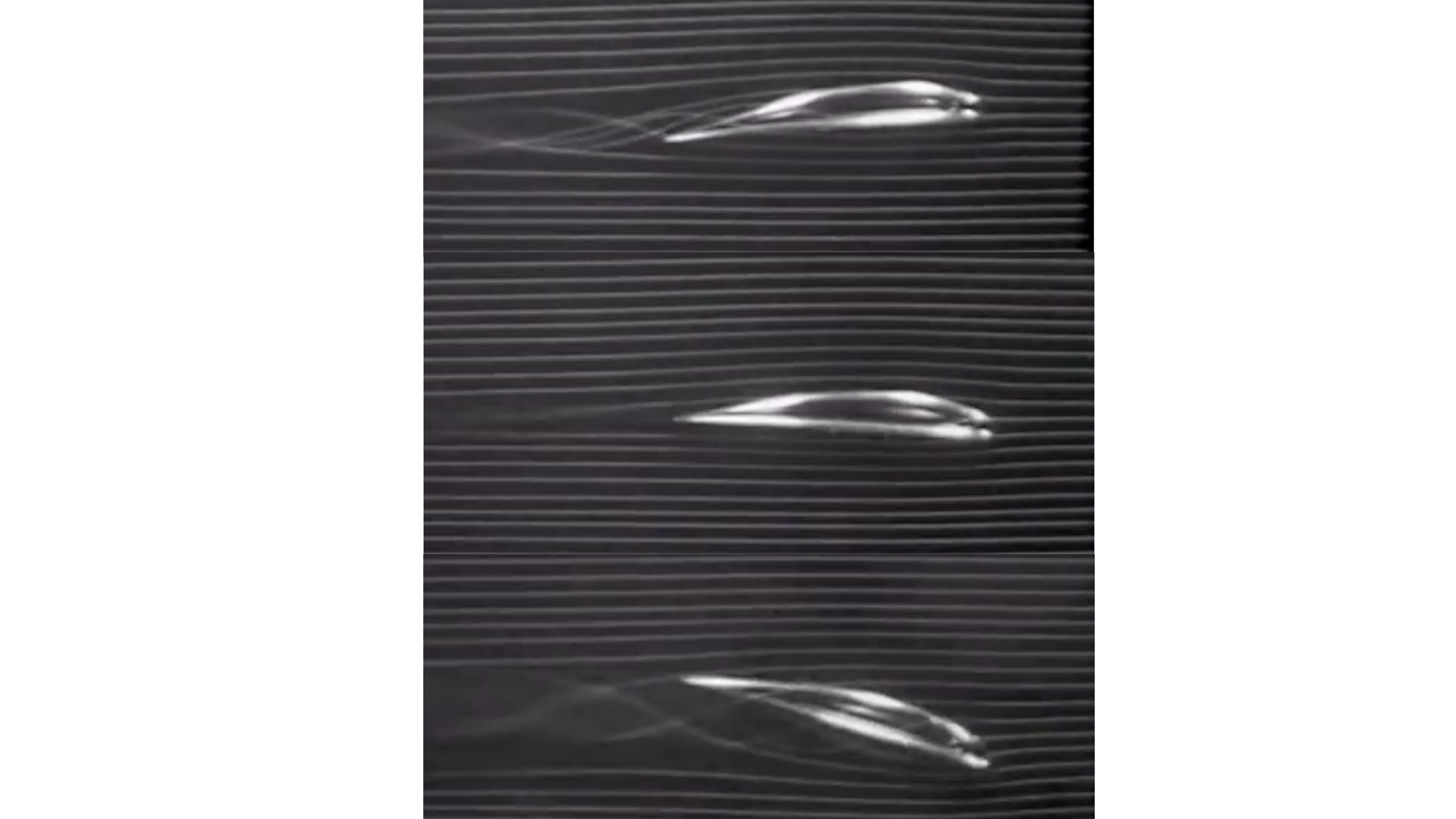 This sequence of frames shows the wing tip of a cambered wing in the smoke tunnel.  The angle of attack is (from top to bottom), positive, a slightly negative angle of attack that results in approximately zero lift and a negative angle of attack. The lowest frame shows that even a positively-cambered wing can create a down force since its lower pressure side is the bottom.  In a conventional aircraft, the horizontal tail-elevator combination can provide lift in either direction.  Aerobatic aircraft in inverted flight shows that the wing is capable of lifting toward the lower side of the airplane. To facilitate inverted flight, many acrobatic category aircraft feature a wing using a symmetric airfoil.