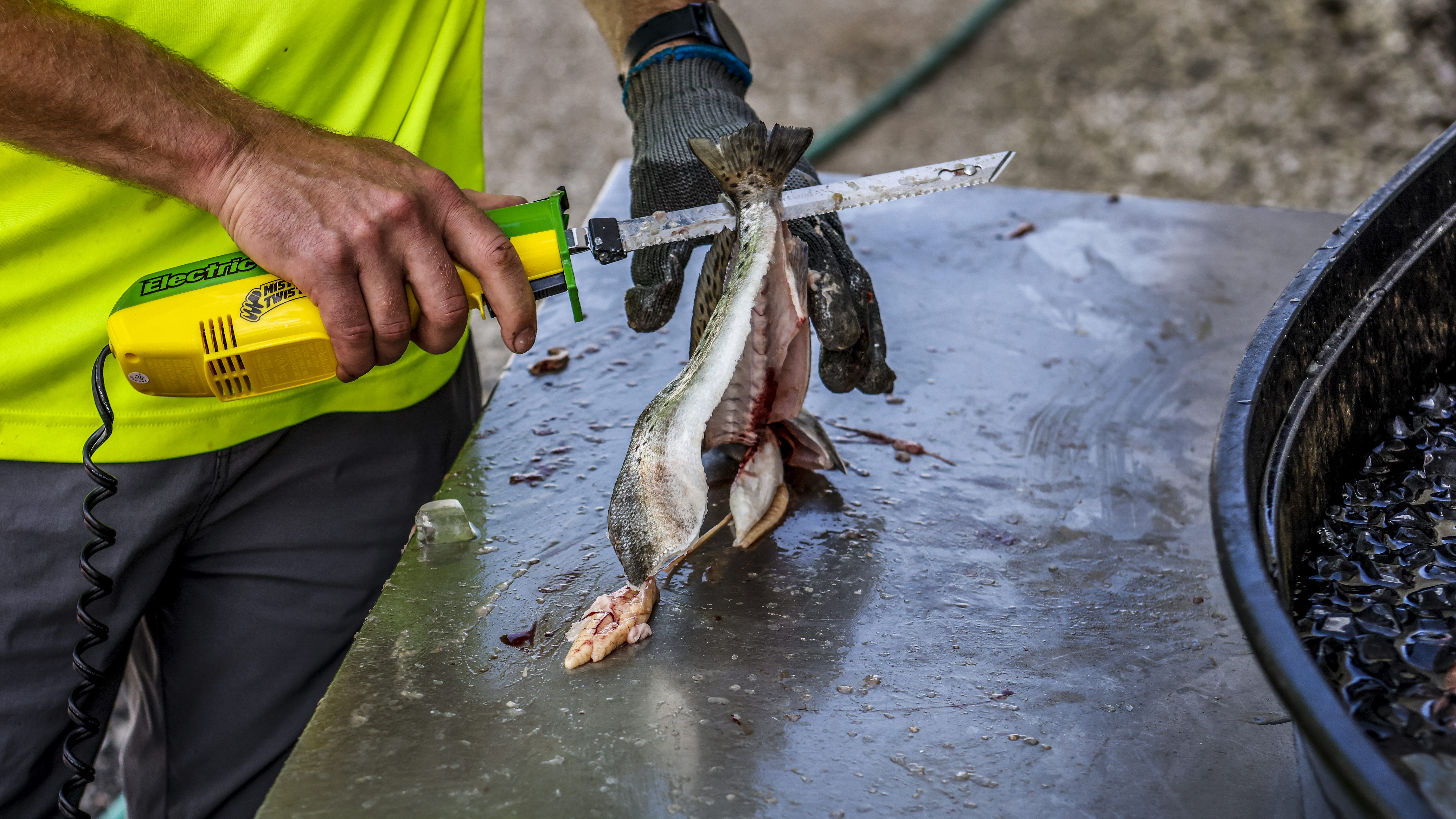 Customers can have their catch cleaned and prepared to take home.