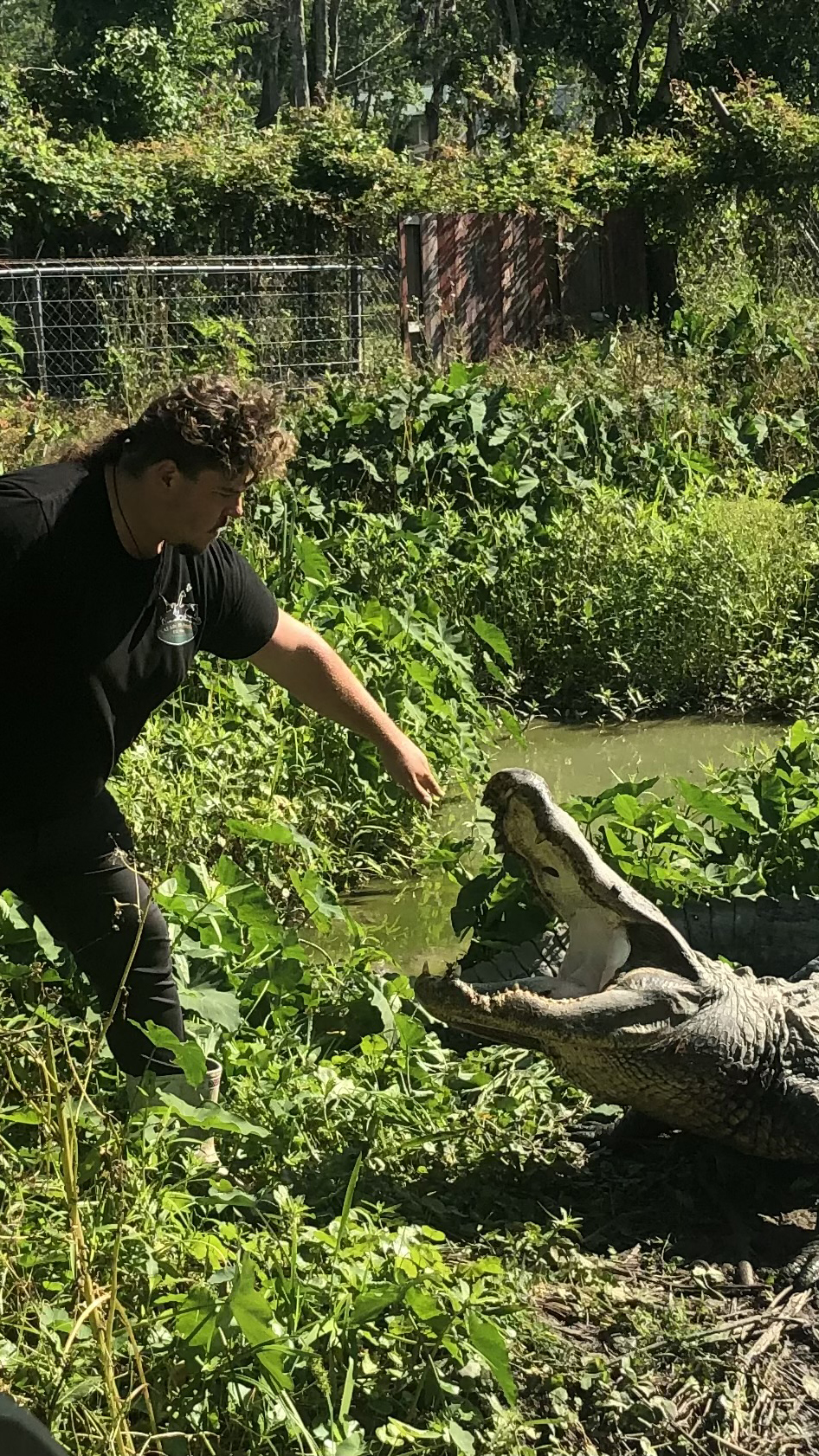 ZZ Loupe wakes up Samson.