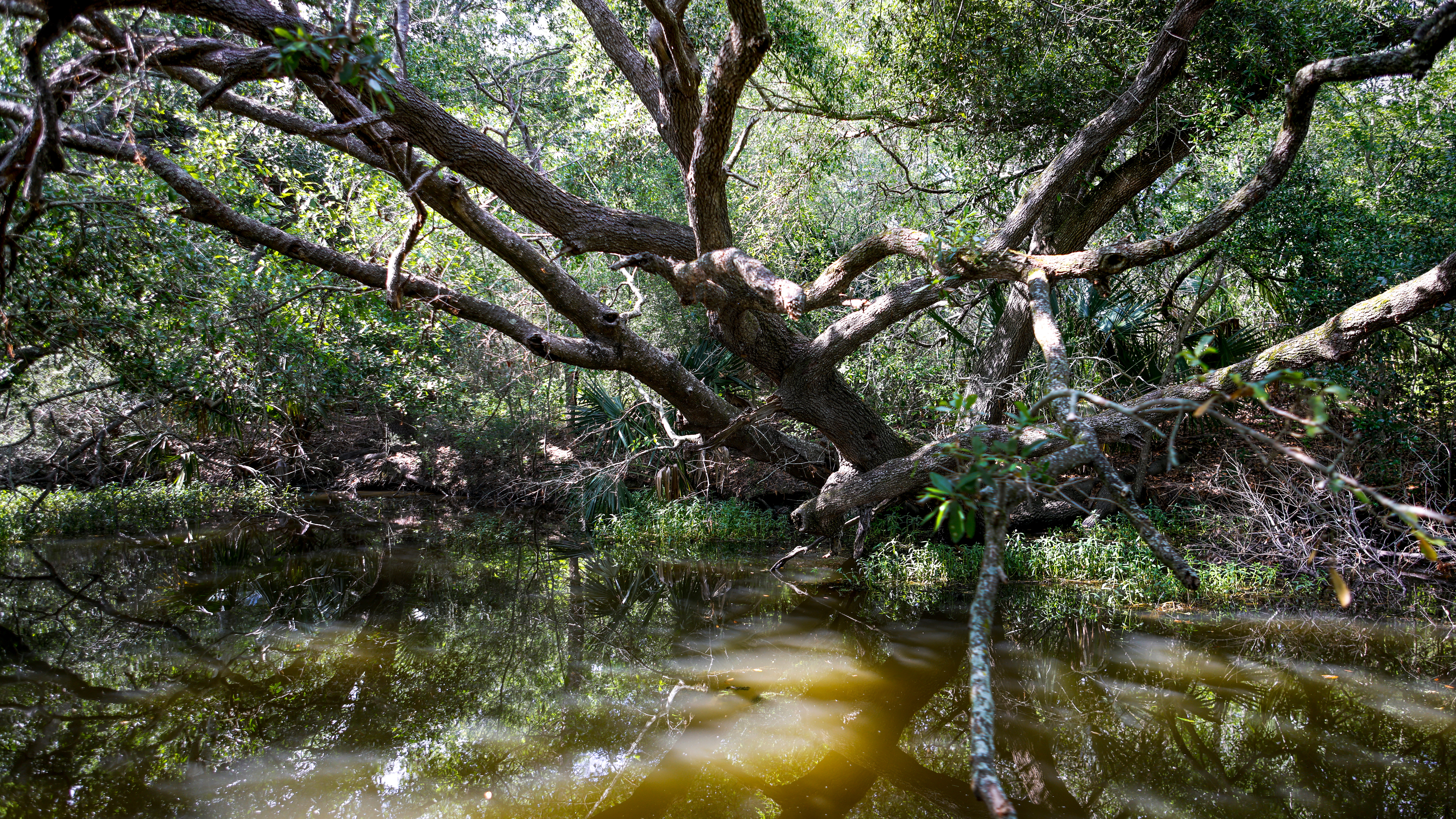 “You watch the opening credits, and that’s the spot where I’m carrying that big gator,” he says.