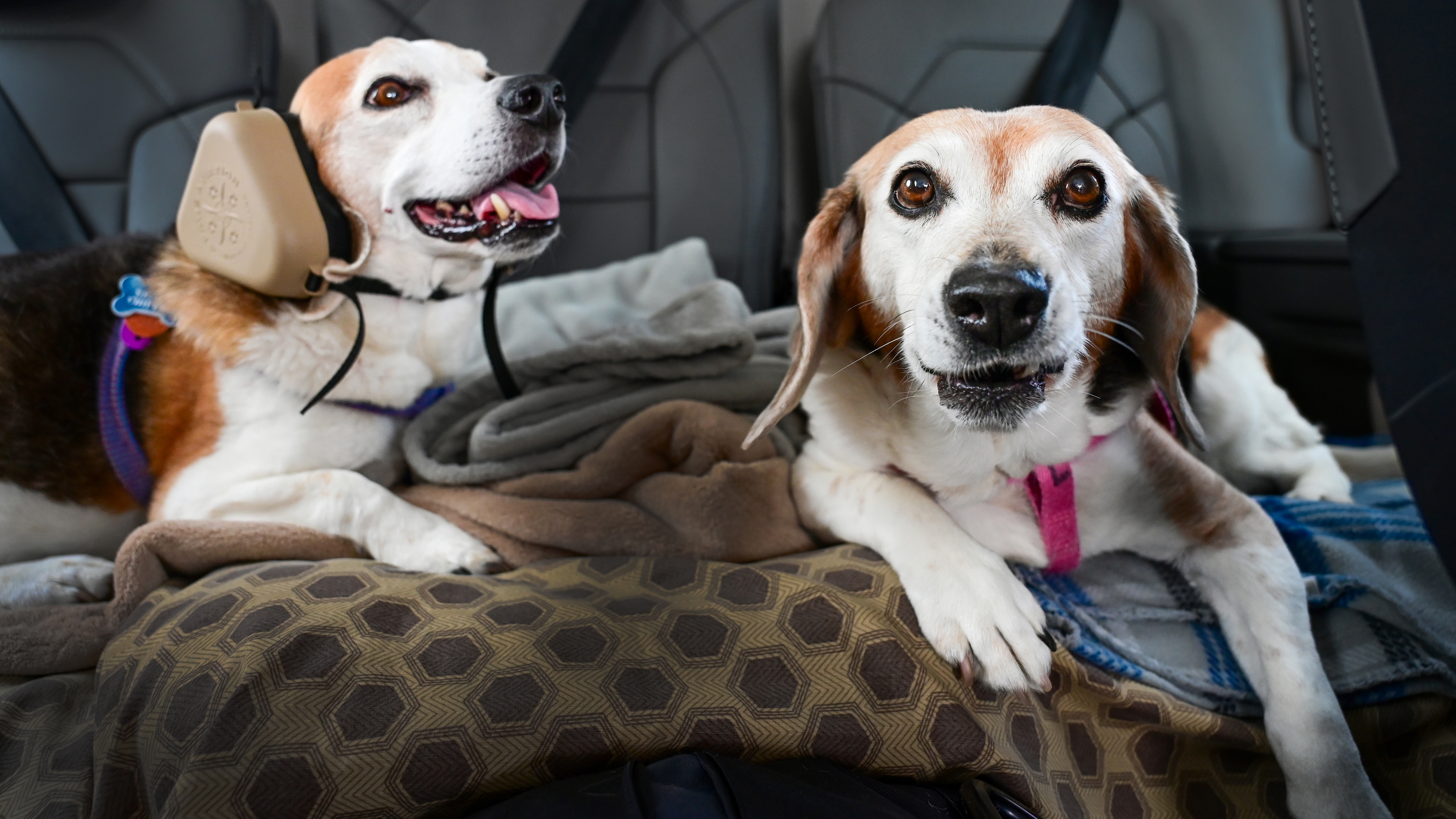 Benny and Lacie are strapped in the third-row seating of the Cirrus Vision jet for a short flight to Delaware. Lacie refuses to wear her headset.