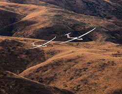 Gliders in NZ