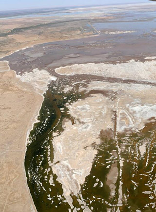 The Colorado River reaches the Gulf of California waters for the first time in decades. Photo courtesy of LightHawk.