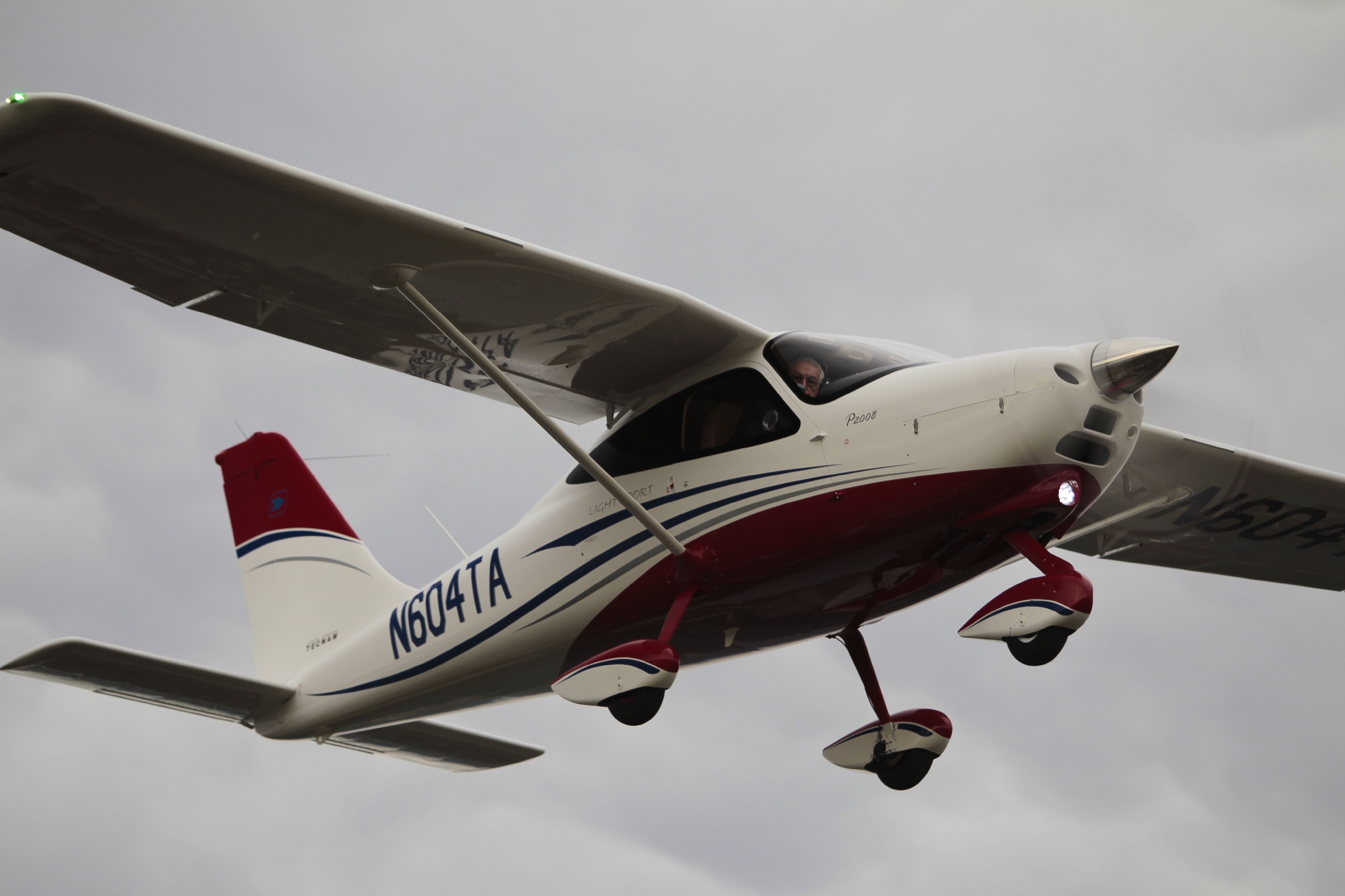 SLIDE SHOW COMPONENT