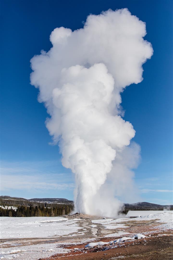 Old Faithful erupts at Yellowstone National Park. The first geyser in the park to be named, Old Faithful erupts every 44–125 minutes, spraying heated water 106–185 feet into the air. Photo by Jacob W. Frank, courtesy NPS.