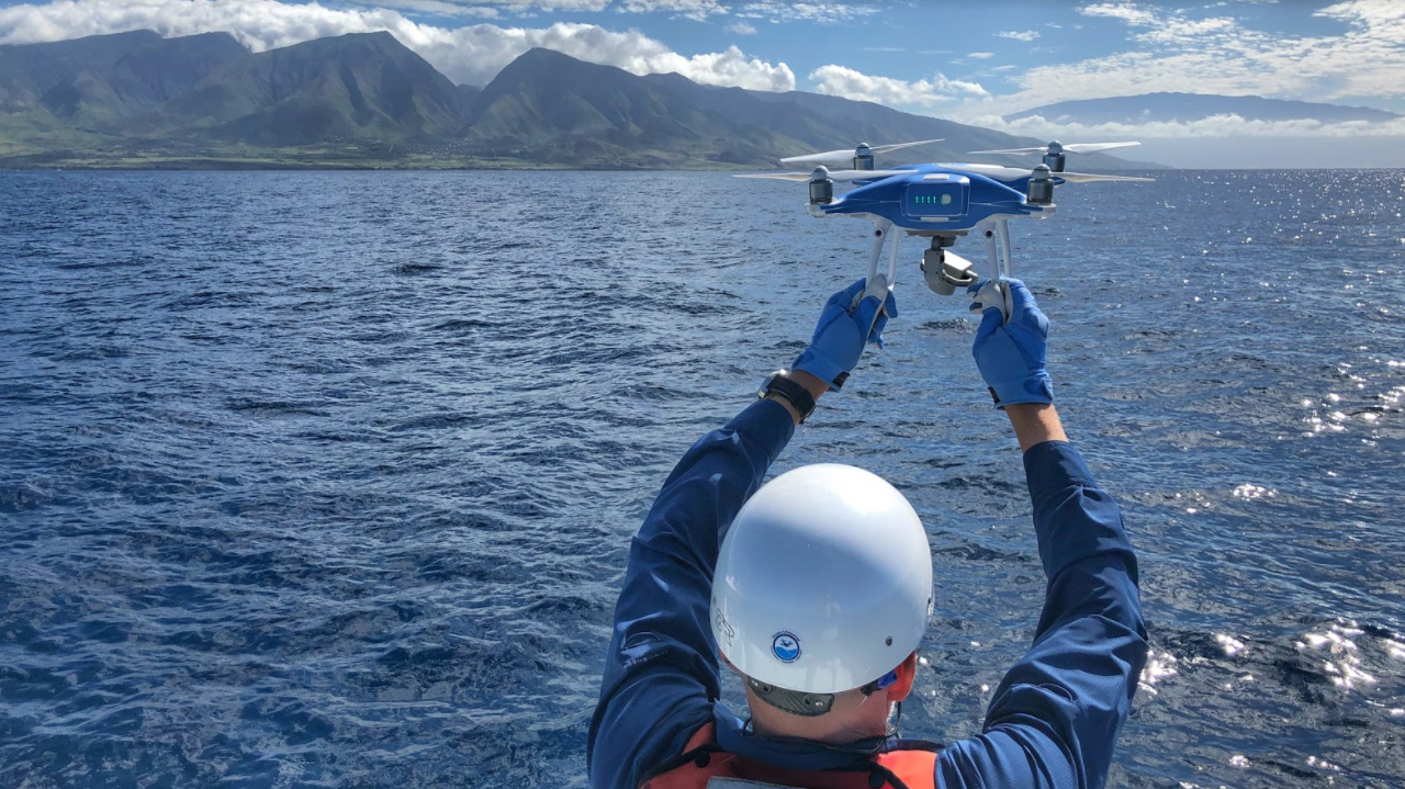 Drone pilots to be trained to rescue whales - AOPA