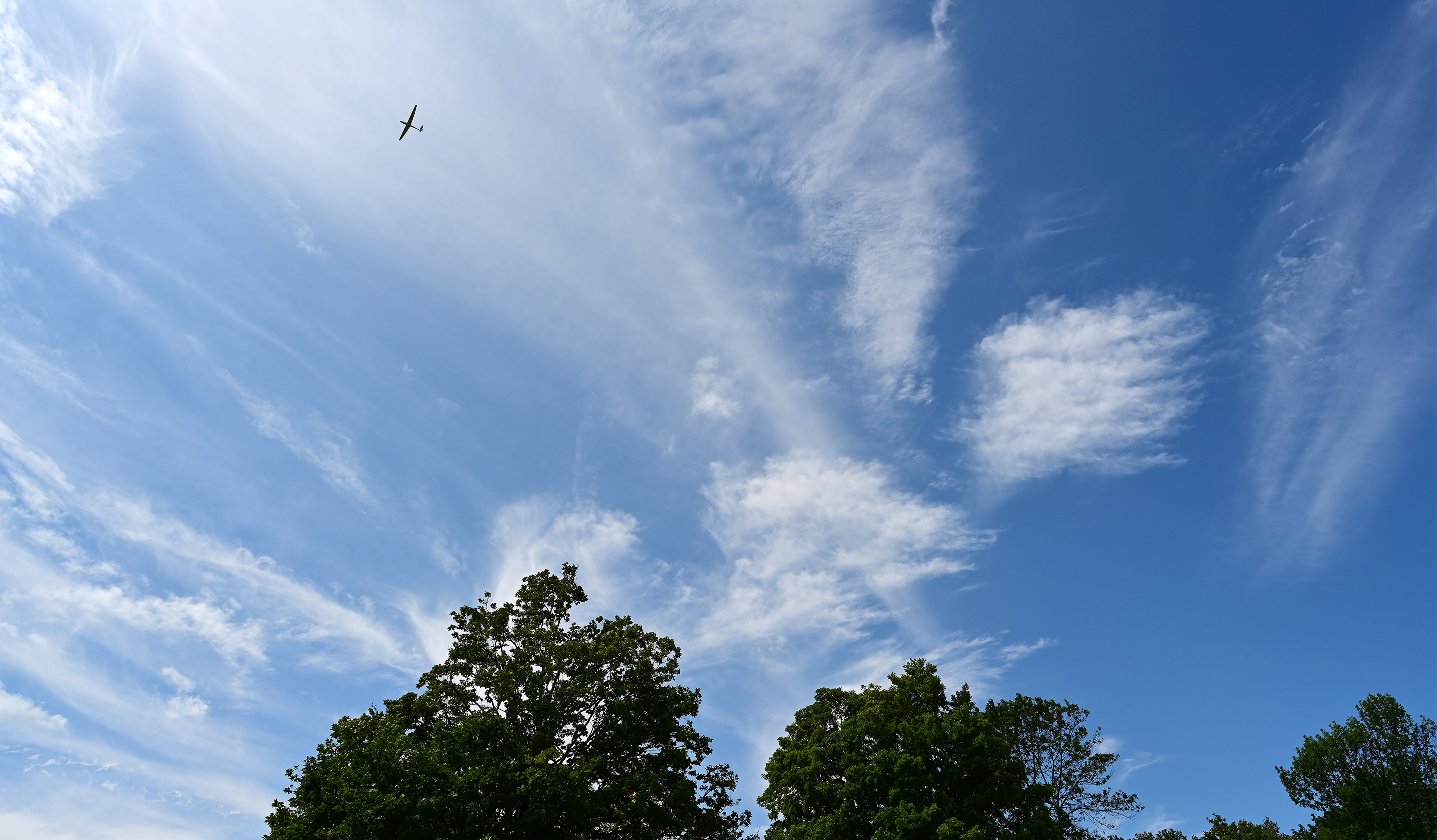 light logger cumulus soaring