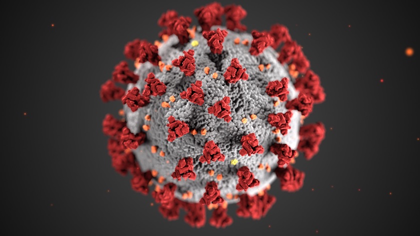 This illustration, created at the Centers for Disease Control and Prevention (CDC), reveals ultrastructural morphology exhibited by coronaviruses. A novel coronavirus, named Severe Acute Respiratory Syndrome coronavirus 2 (SARS-CoV-2), was identified as the cause of an outbreak of respiratory illness first detected in Wuhan, China, in 2019. The illness caused by this virus has been named coronavirus disease 2019 (COVID-19). Graphic courtesy of CDC.