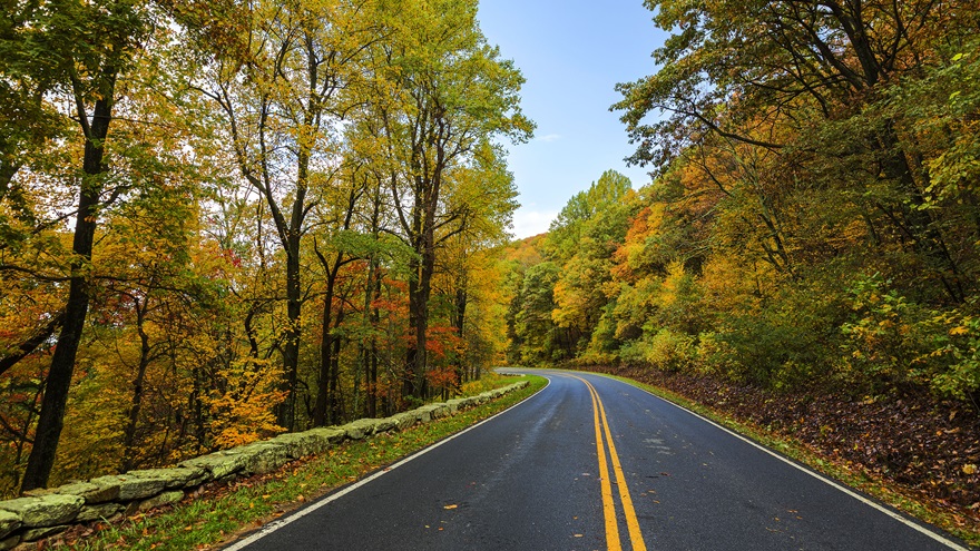 Skyline Drive, a 105-mile scenic road within Shenandoah National Park, offers a beautiful view of fall foliage. Photo courtesy of NPS/Neal Lewis.