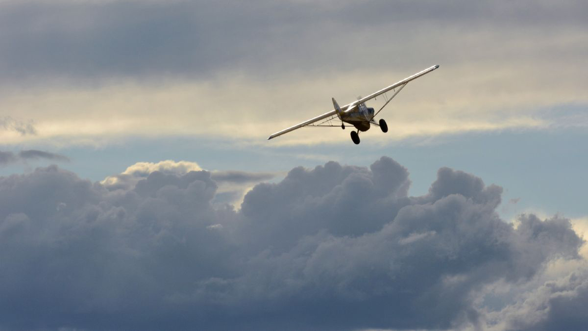 Photo by Mike Collins.