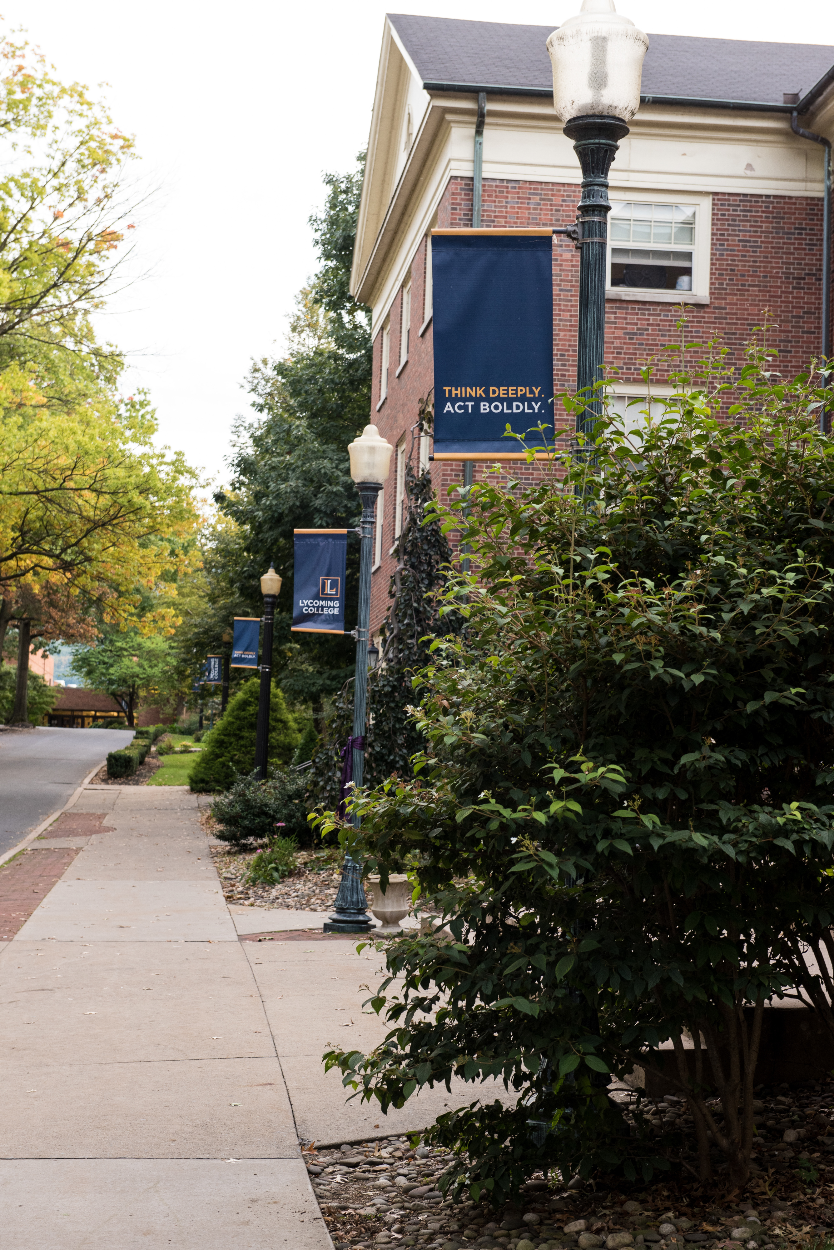 Lycoming College banners along Warrior Way. Photo courtesy of Lycoming College.