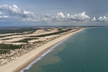 Doñana National Park in southern Spain. Photo by Garrett Fisher.