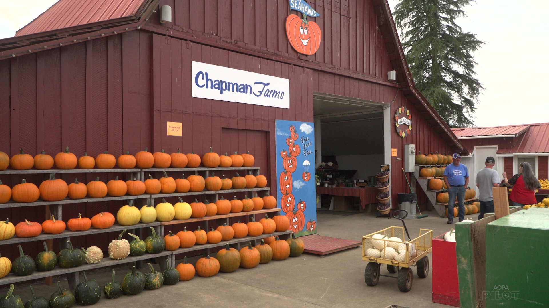 The main produce barn at Chapman Farms is lined with pumpkins for sale. Image by Sierra Harrop.