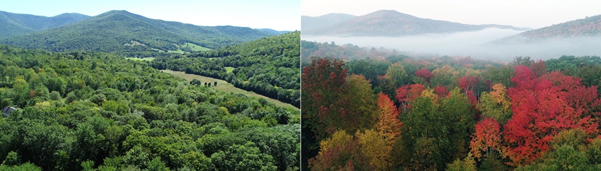 Two views from the same location (different altitudes) in Vermont, showing the summer green on the left, and autumn color on the right. Photos by Jim Moore.