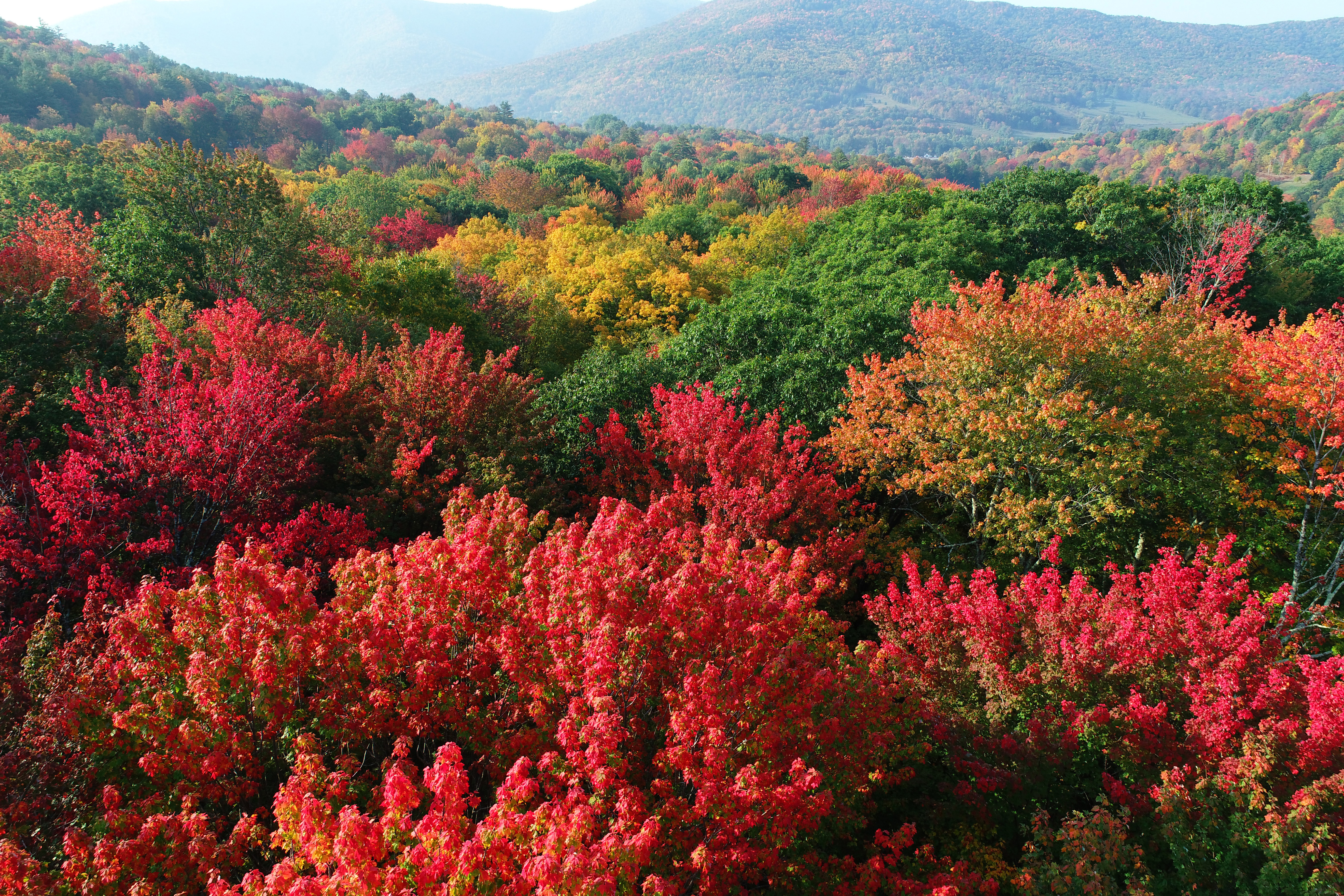 The brilliant red color Vermont is known for will soon return, first in the northern part of the state in late September, moving south into early October. Photo by Jim Moore.