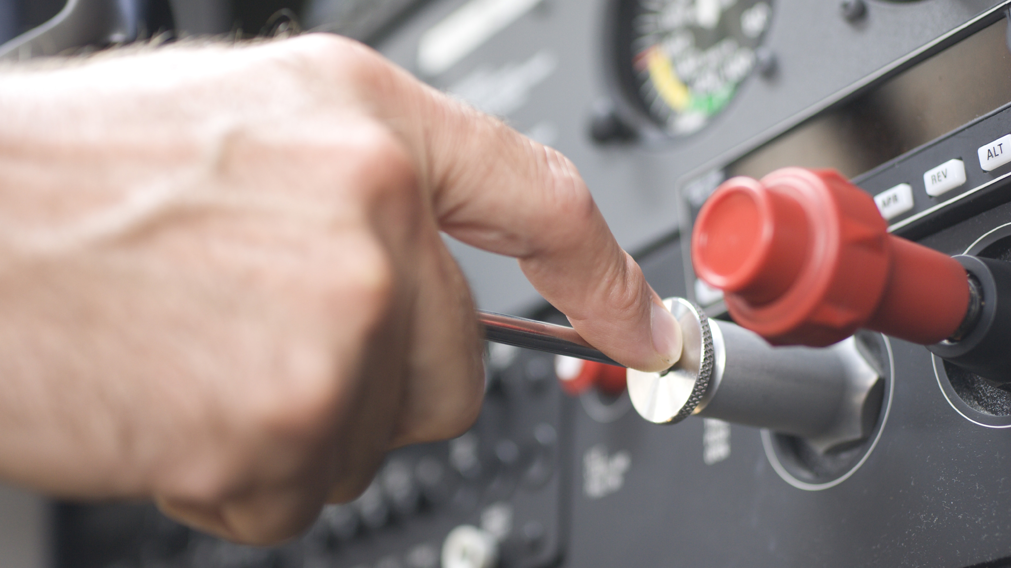 Photo by Chris Rose.