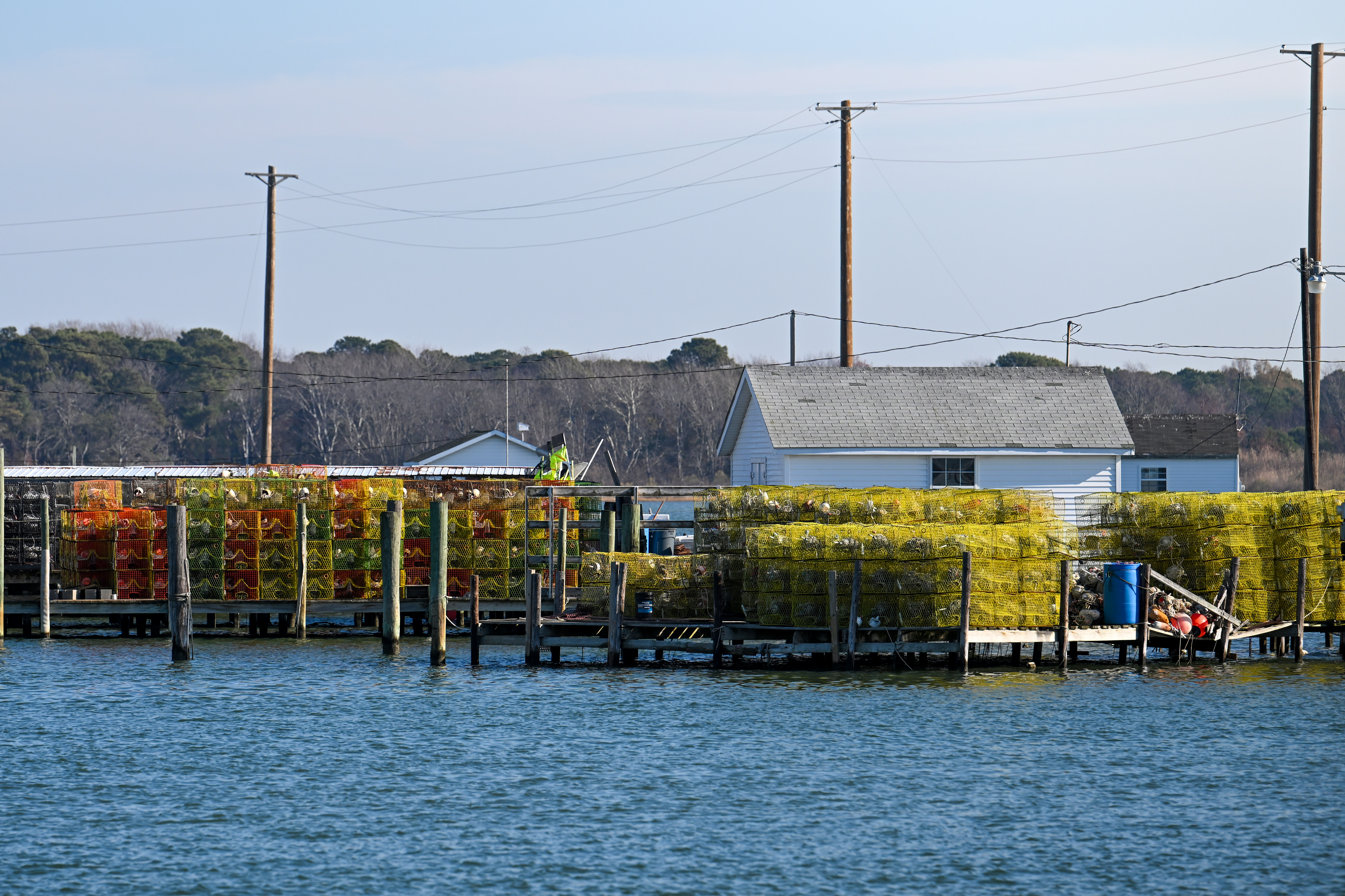 Tangier Island is a windswept village in the Chesapeake Bay, where crabbing helps provide income for several hundred local residents. Photo by David Tulis.