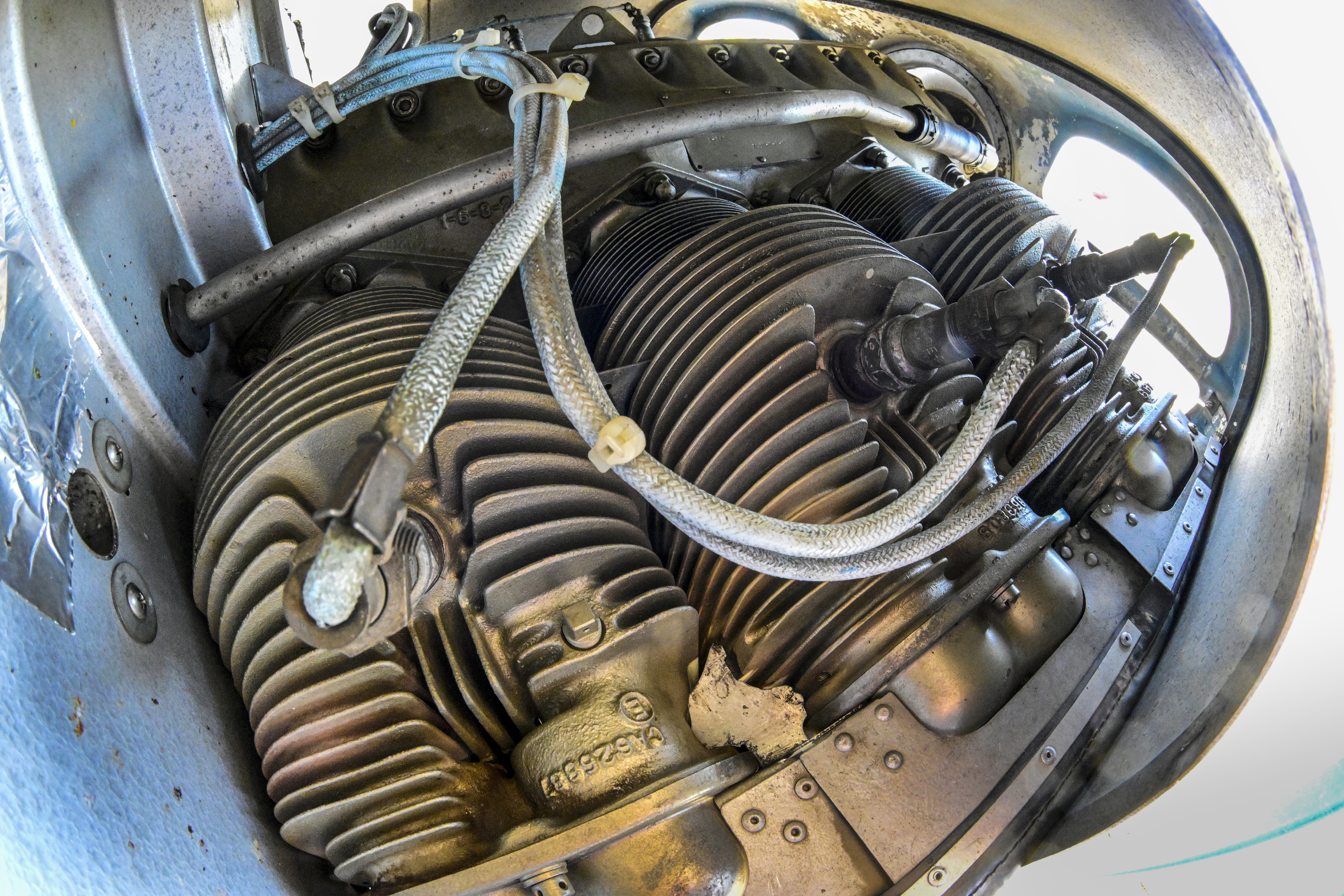 Photo by David Tulis.