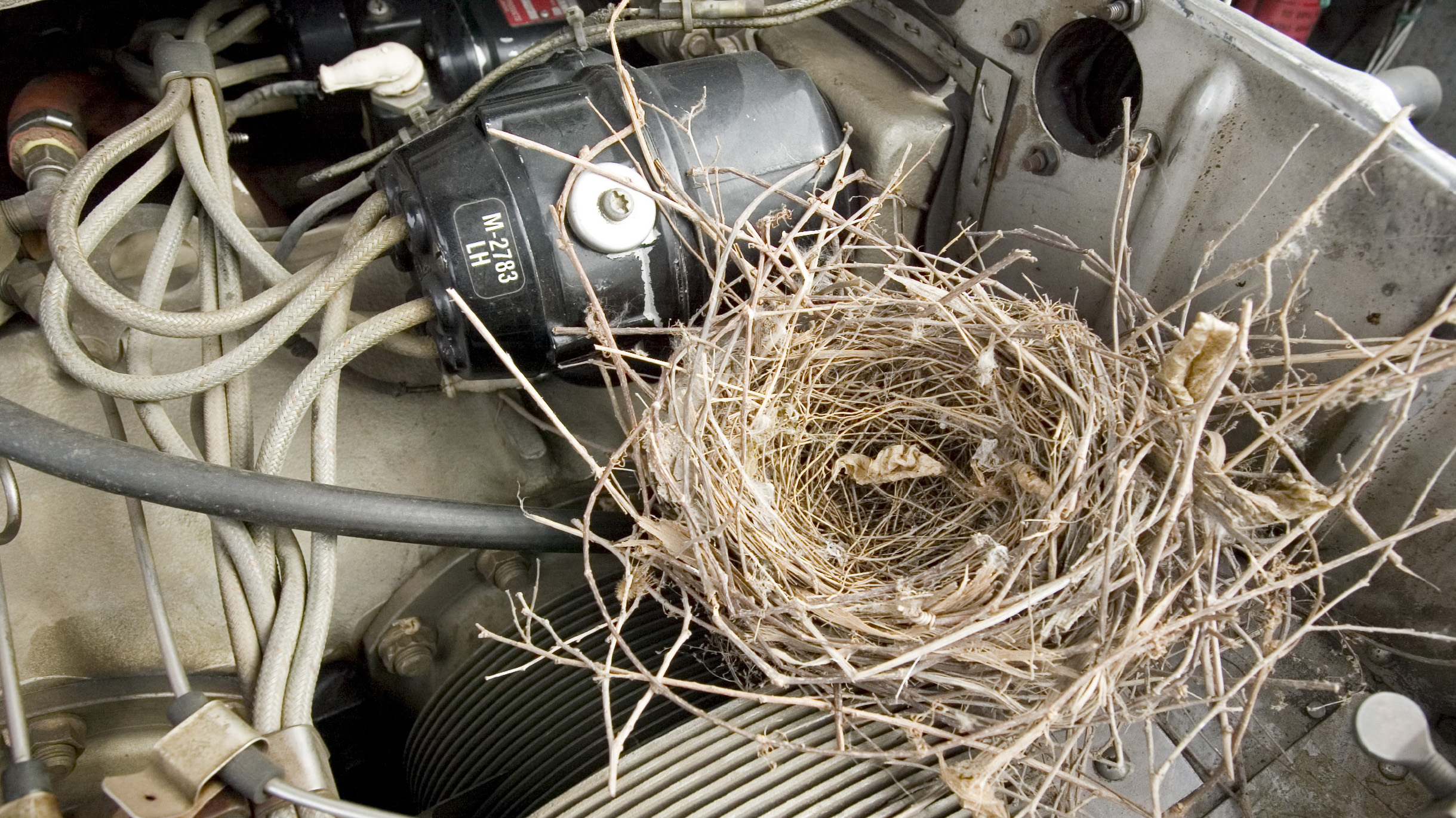 Photo by Mike Fizer.