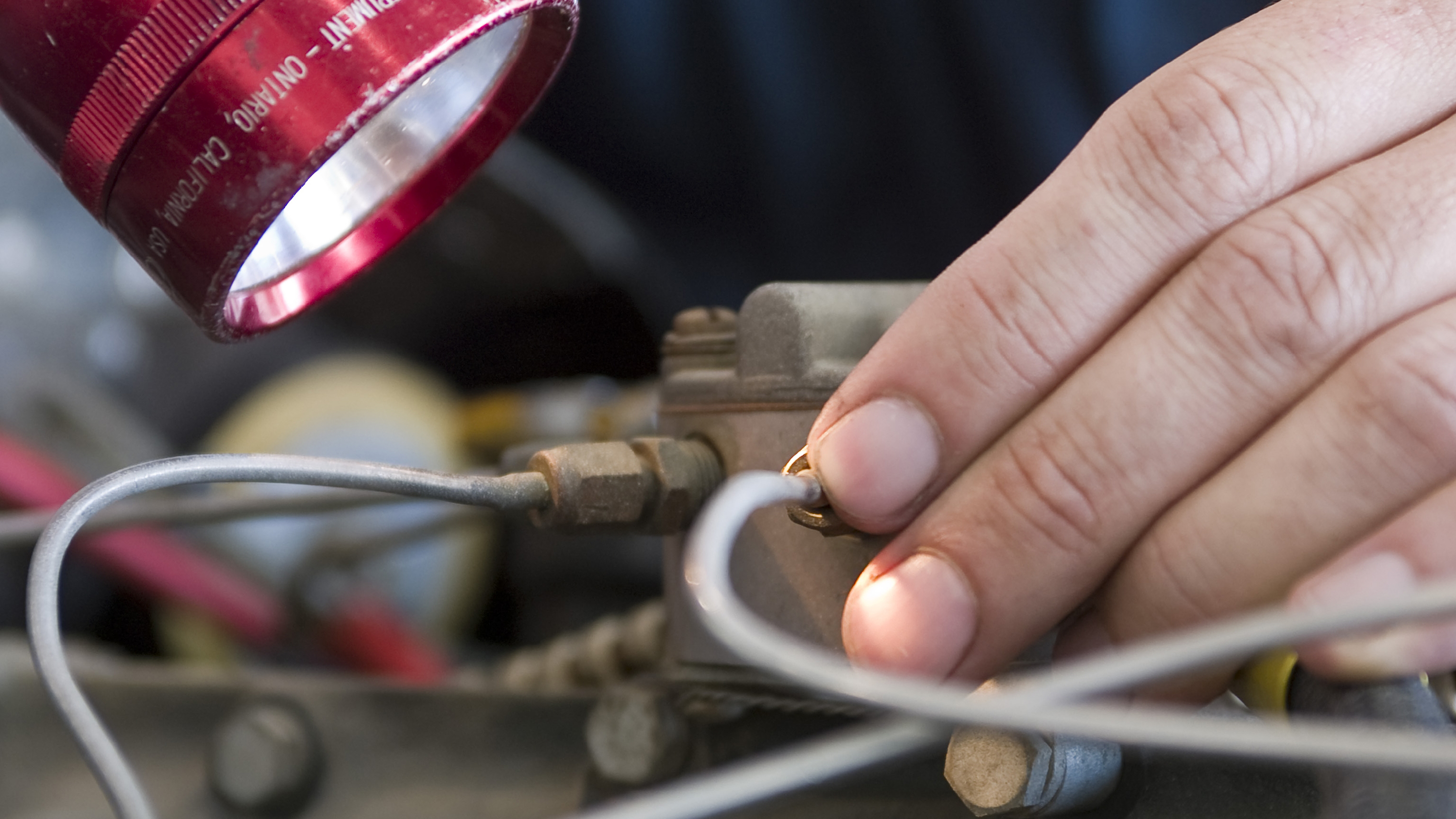 Photo by Mike Fizer.