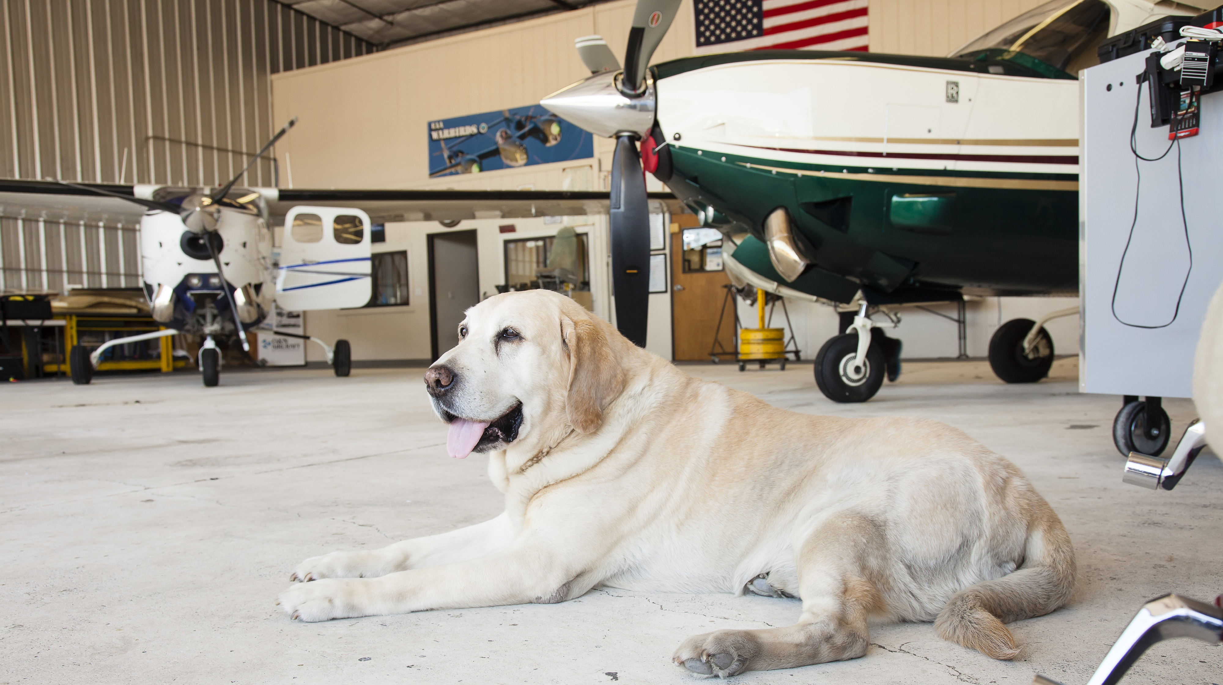 Photo by Mike Fizer.