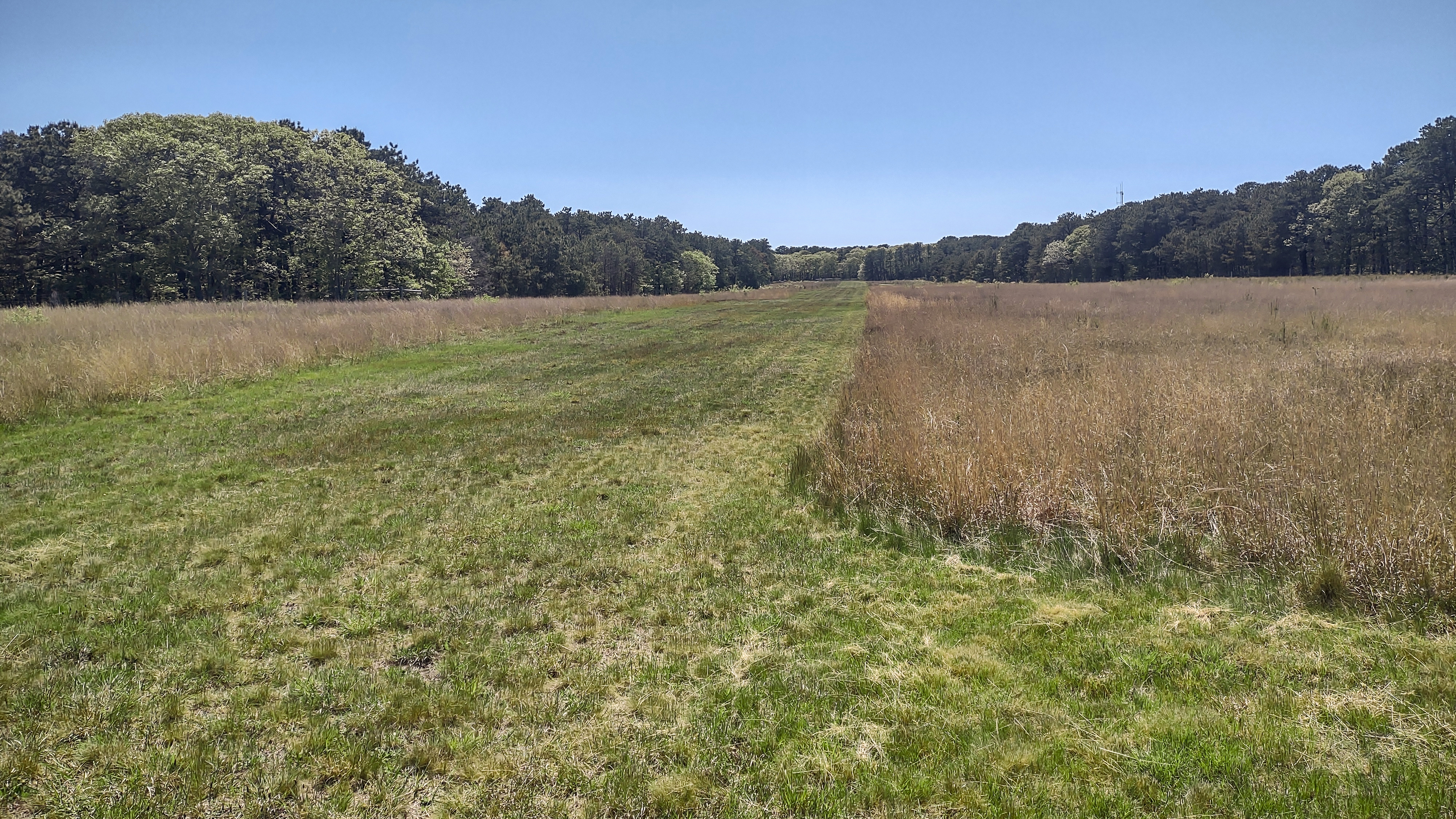 The turf Runway 6/24 at Trade Wind Airport. Photo by Jonathan Welsh. 