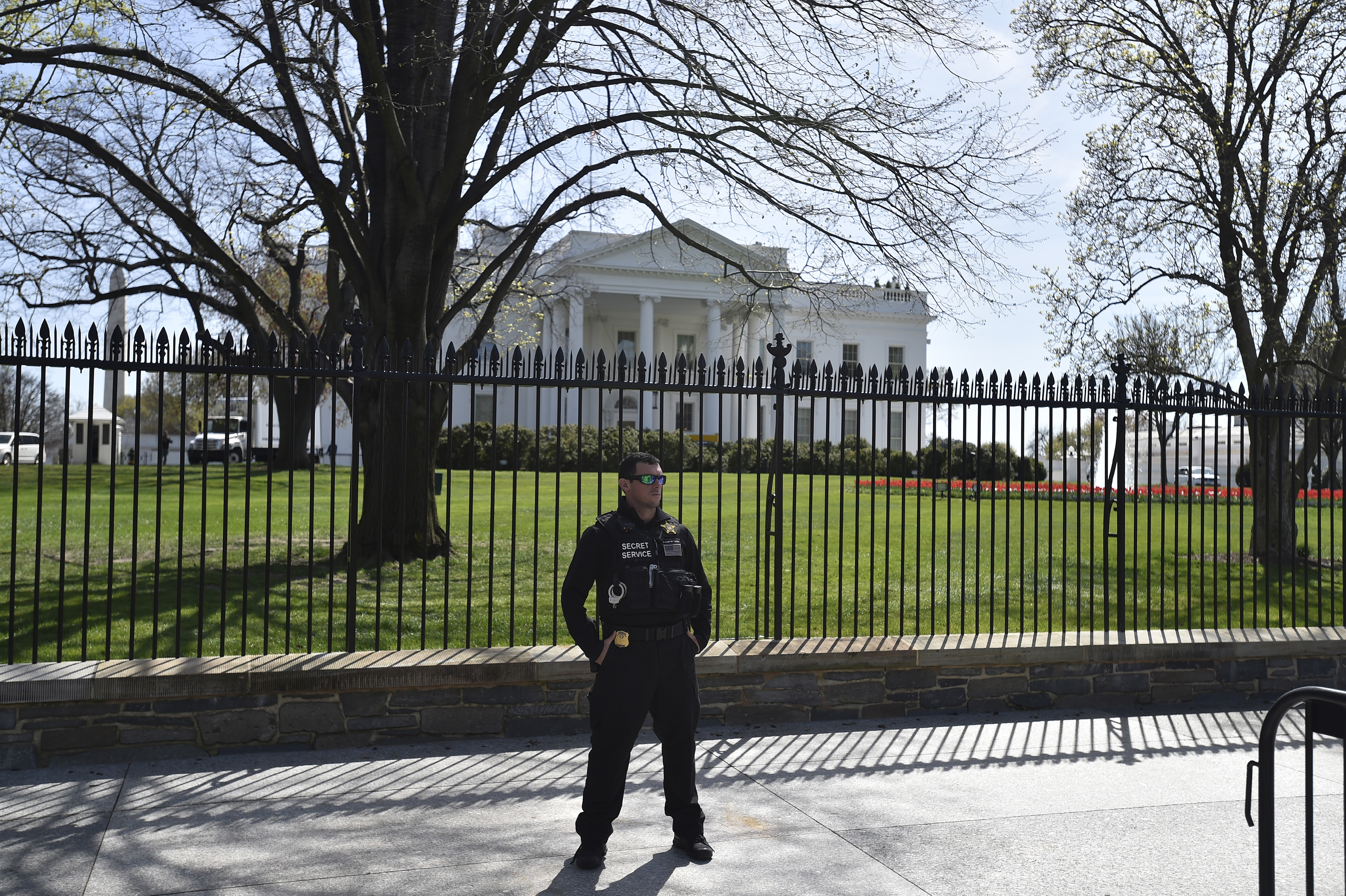 Photo by David Tulis.