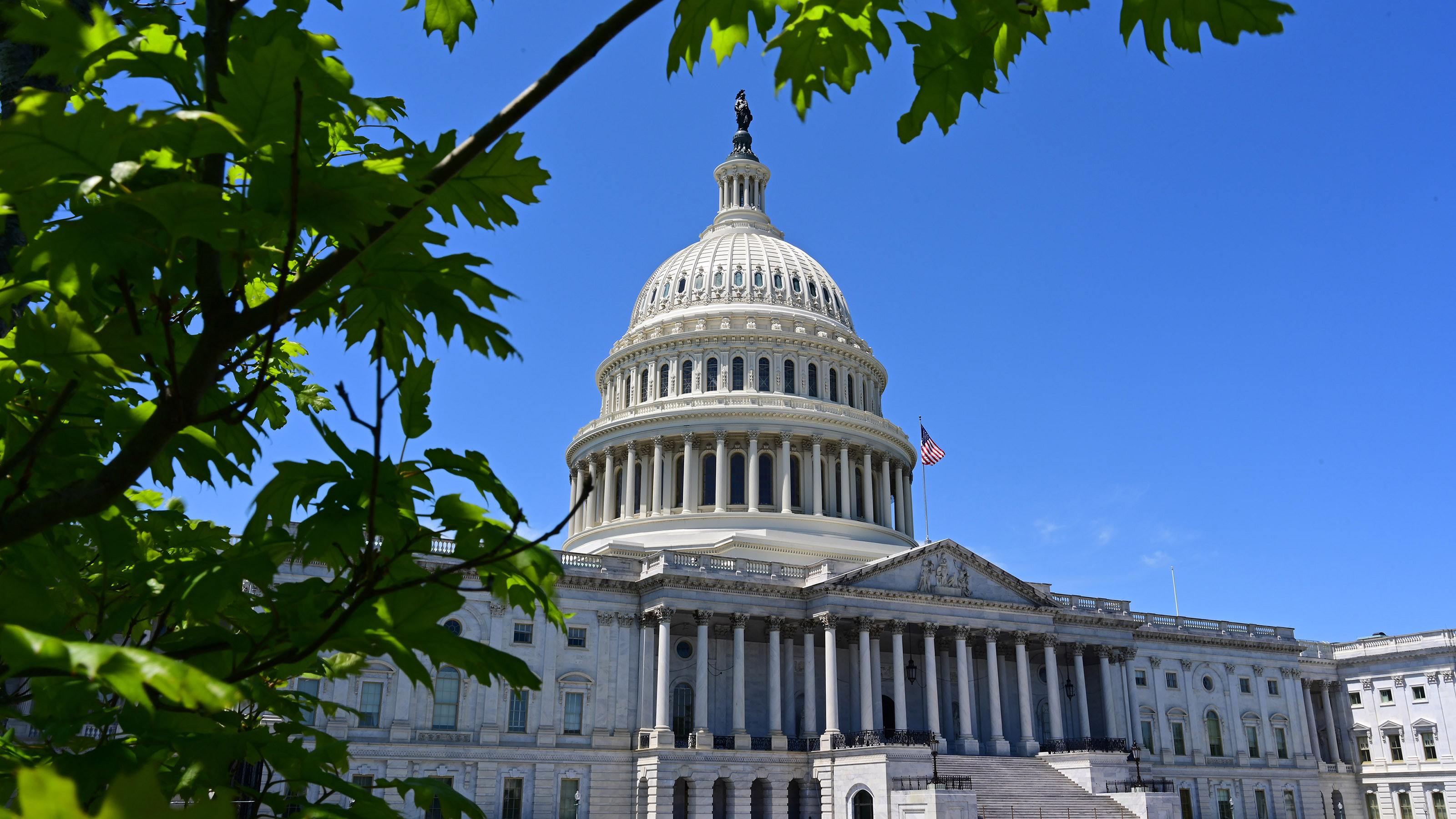 Photo by David Tulis.