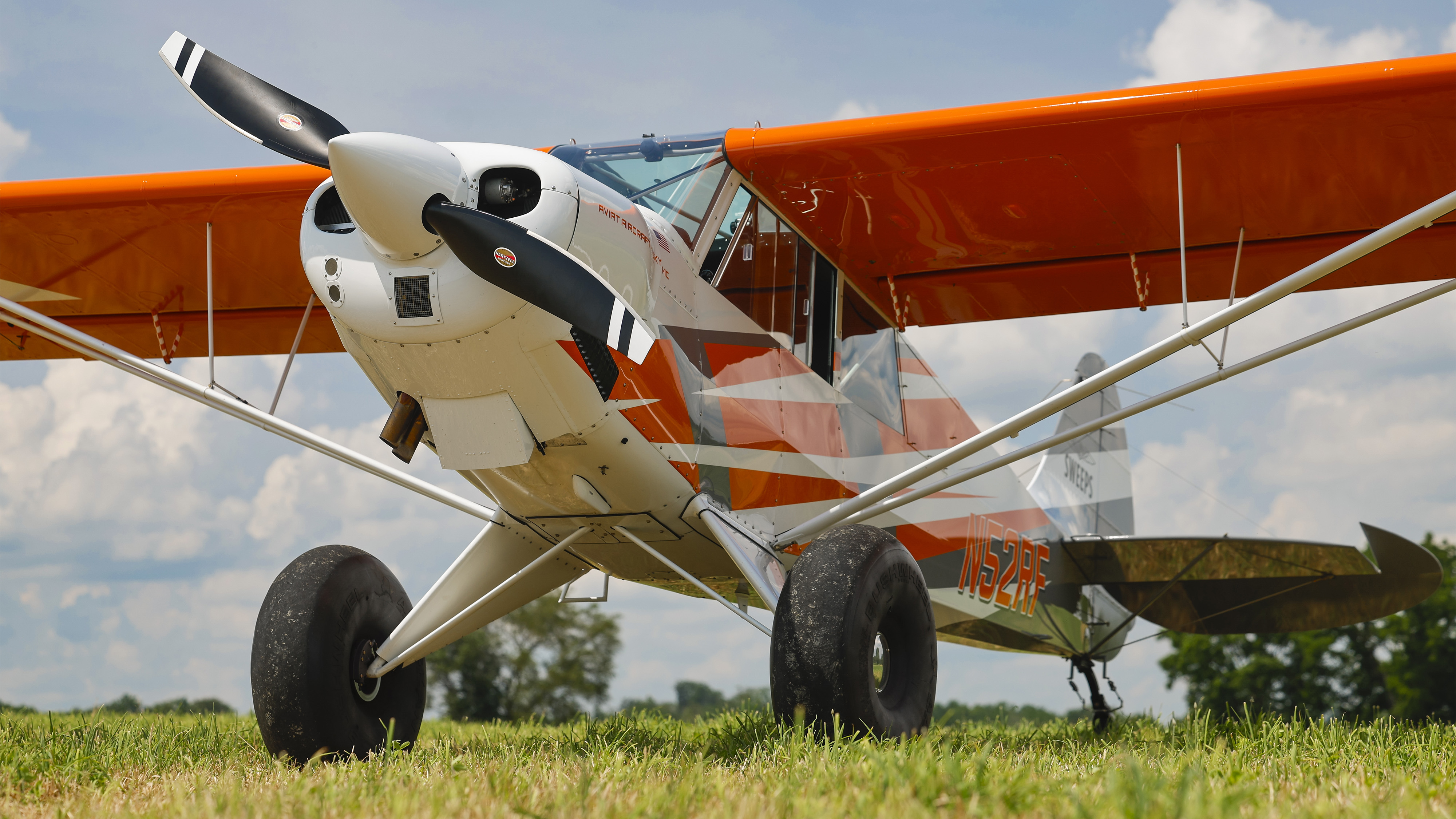 Photo by Chris Rose.