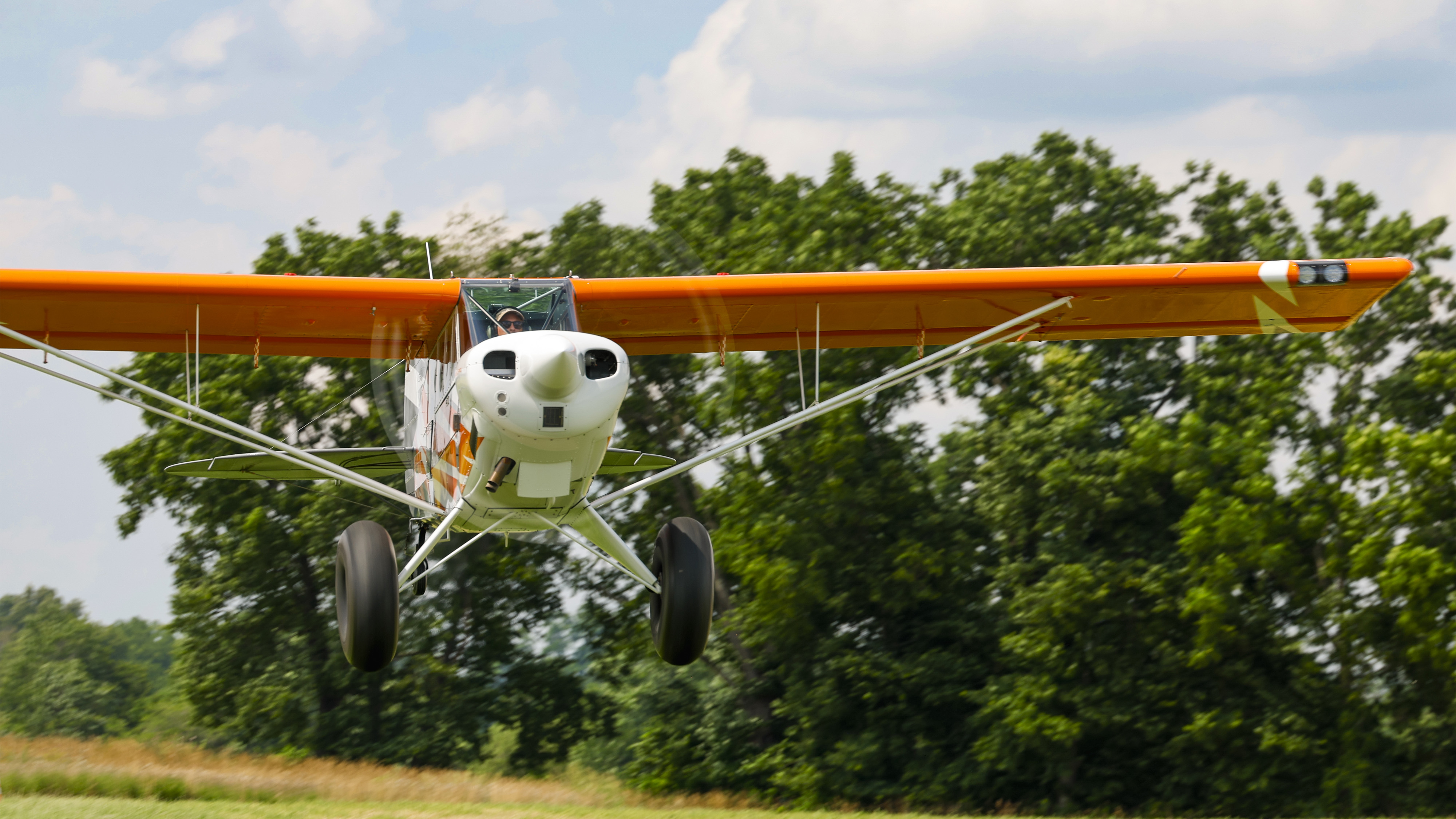 Photo by Chris Rose.