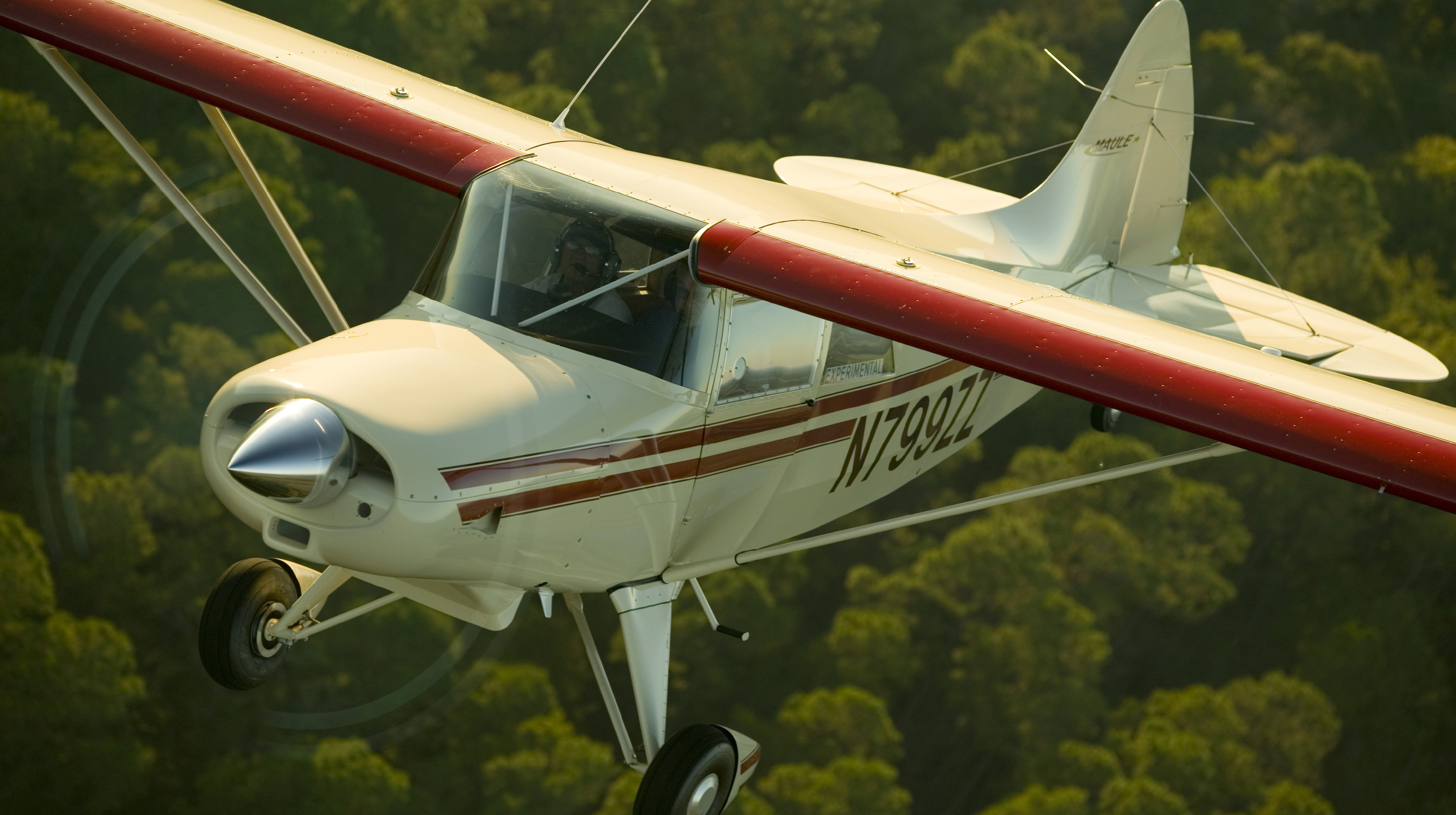Post-MOSAIC guidance for sport pilots updated
