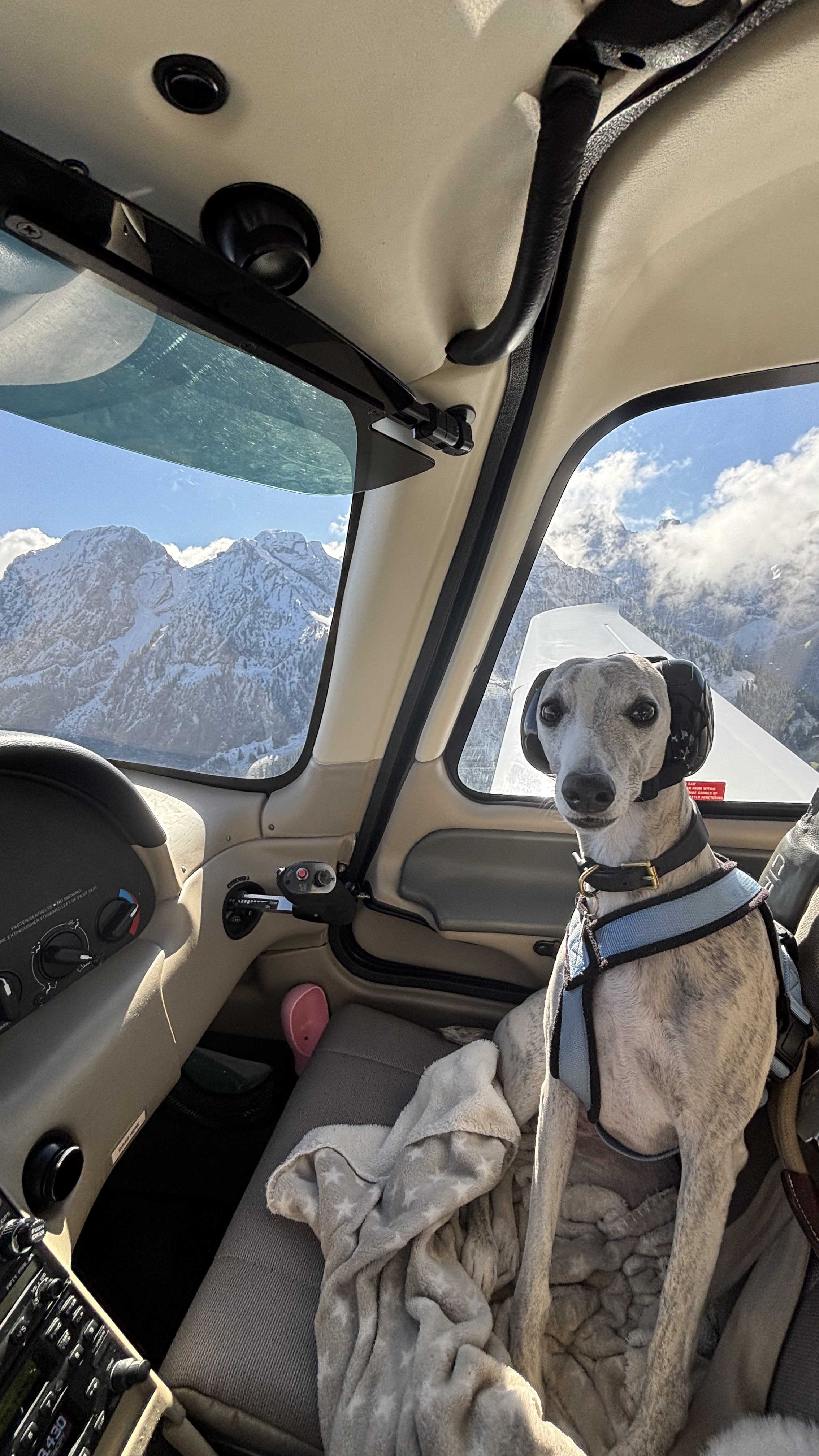 Making sure Dad gets us safely through the mountains. Photo courtesy of Lilou. 