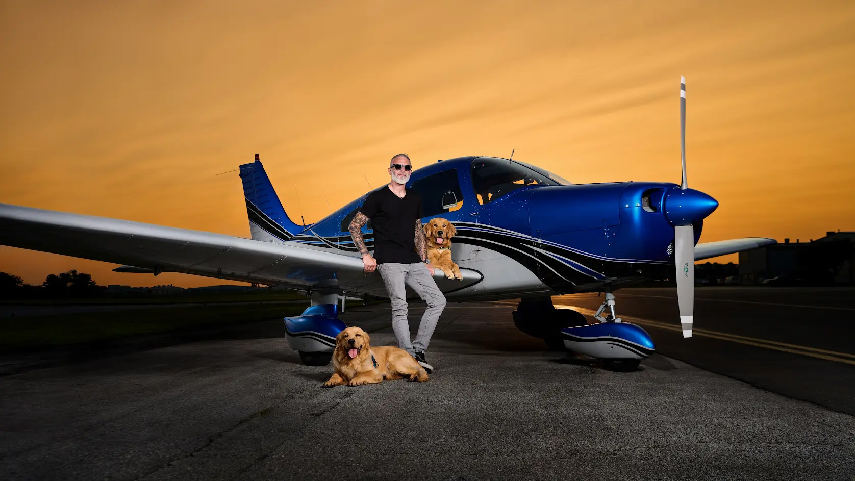 When dogs fly