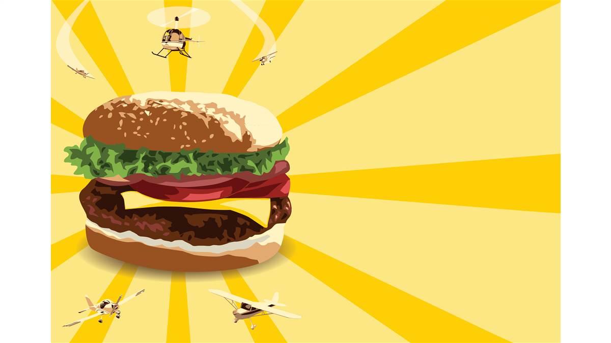 Illustrations by Daniel Hertzberg