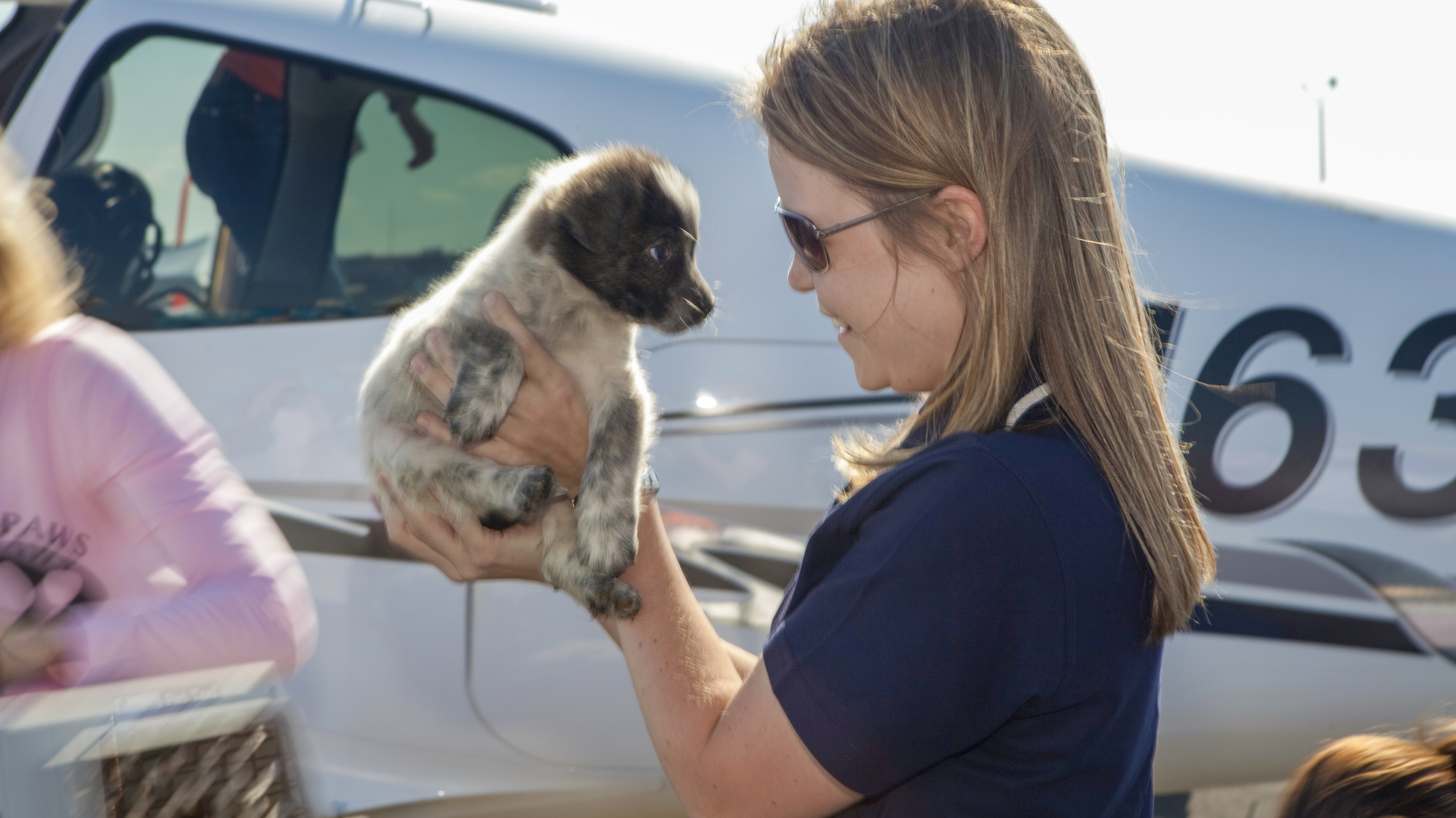 Animal rescue