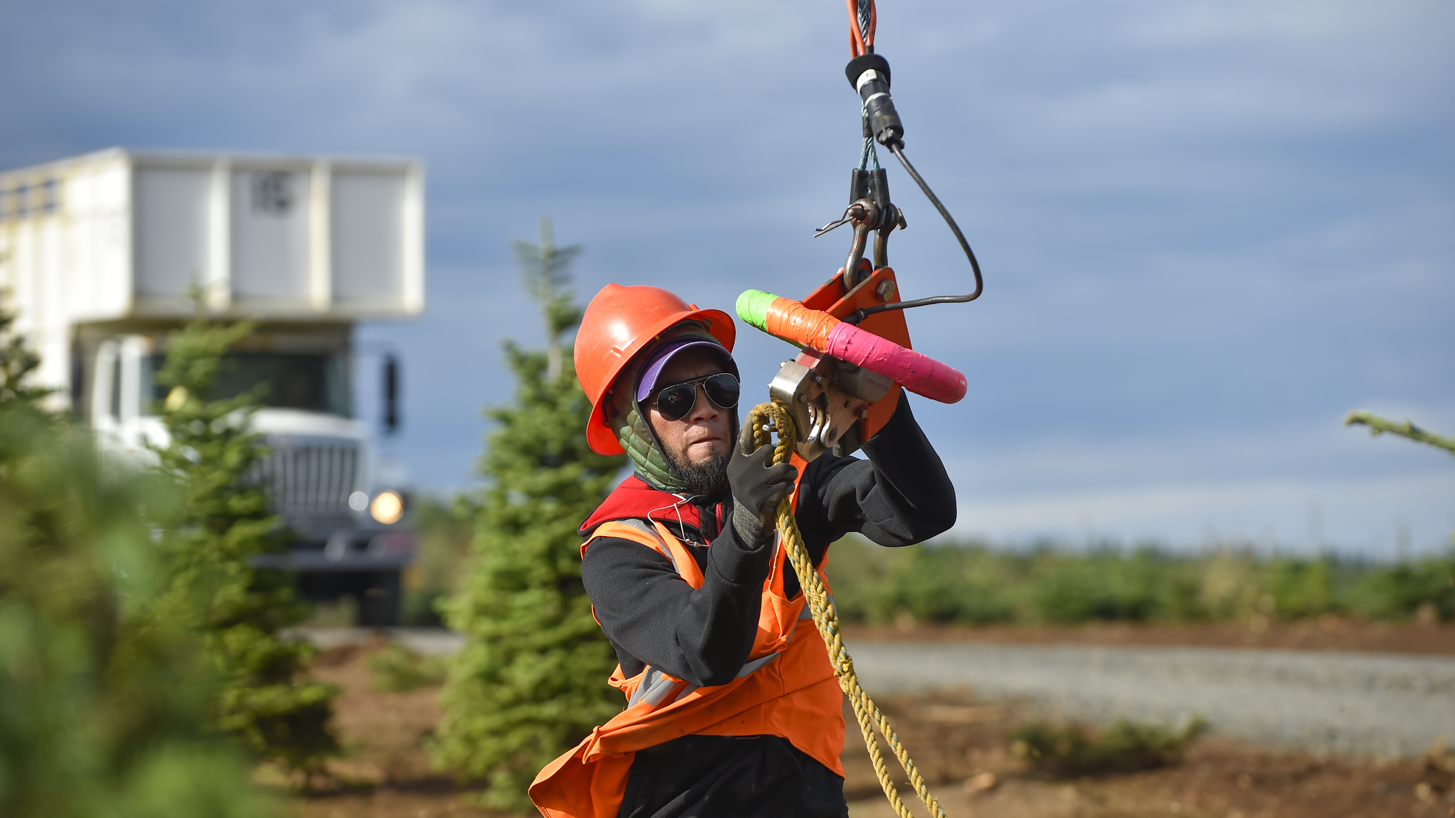 Oregon's Noble Mountain Tree Farm